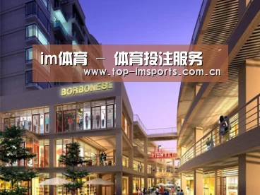 案例展示一(图1)